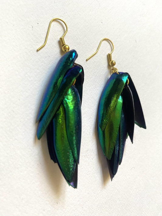 Boucles d'oreilles Elytres de scarabée