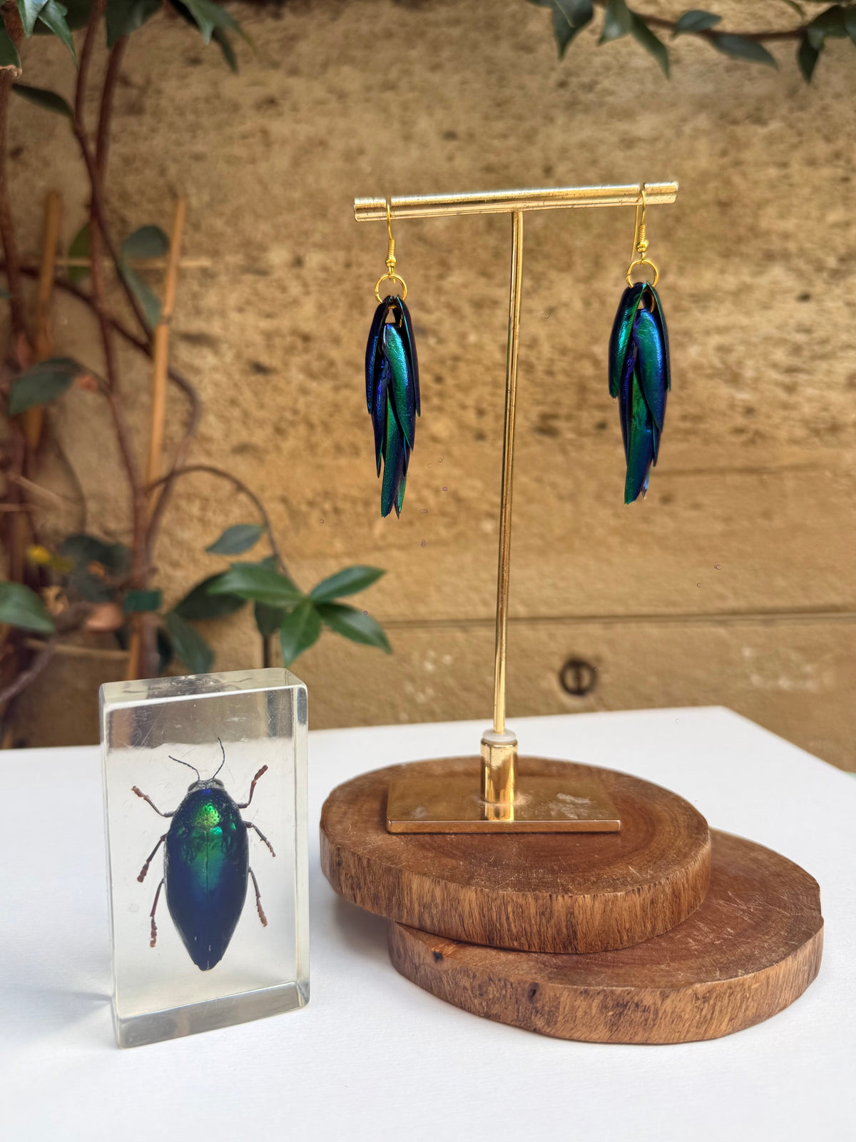 Boucles d'oreilles Elytres de scarabée