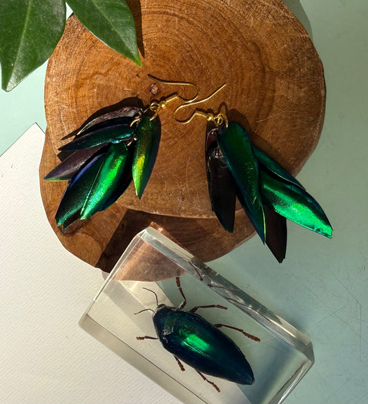 Boucles d'oreilles Elytres de scarabée