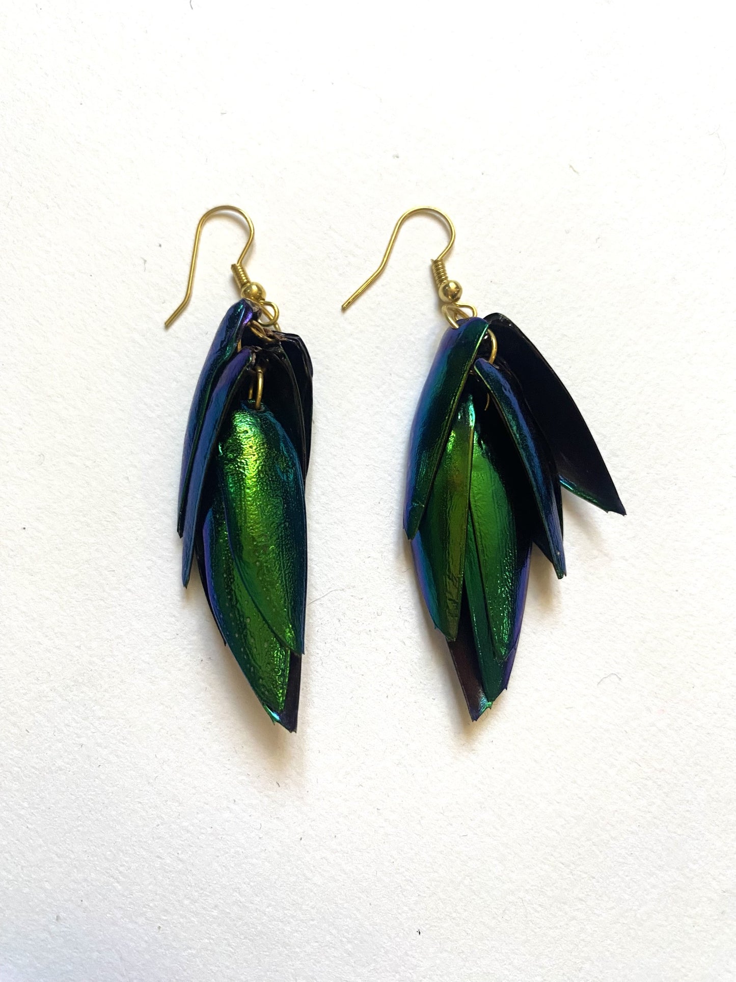 Boucles d'oreilles Elytres de scarabée